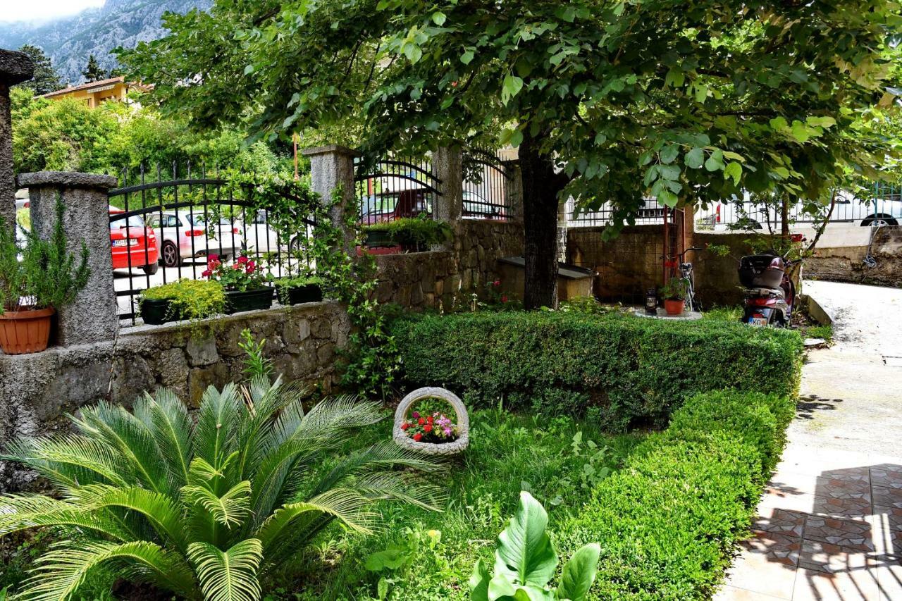 Apartments Martiva Kotor Luaran gambar